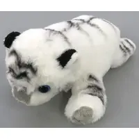 Plush - Kuttari Safari