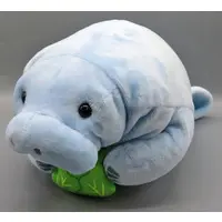 Plush - Okinawa Churaumi Aquarium