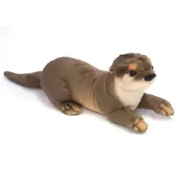 Plush - Real Animals