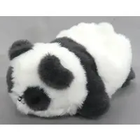 Plush - Panda