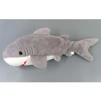 Plush - Shark