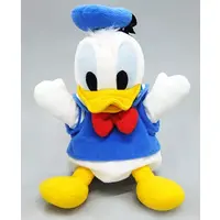 Plush - Disney / Donald Duck