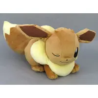 Plush - Pokémon / Eevee