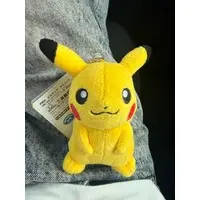 Plush - Pokémon / Pikachu
