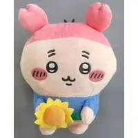 Plush - Chiikawa / Used Bookstore (Kani-chan)