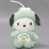 Plush - Sanrio / Pochacco