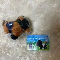 Plush - Thoroughbred collection