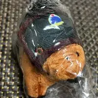 Plush - Thoroughbred collection