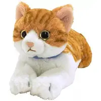 Plush - Hizaneko