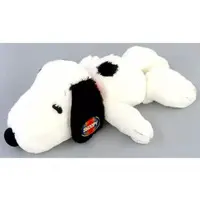Plush - PEANUTS / Snoopy