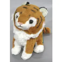 Plush - fluffies