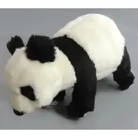 Plush - HANSA Animal Plush