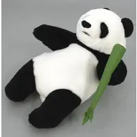 Plush - Panda