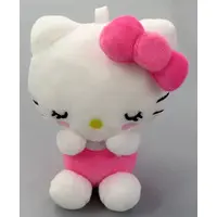 Plush - Sanrio / Hello Kitty