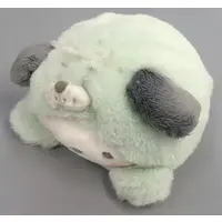 Plush - Sanrio / Pochacco