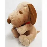 Plush - PEANUTS / Snoopy