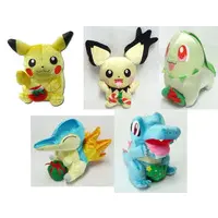Plush - Pokémon / Totodile & Cyndaquil & Chikorita & Pichu