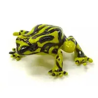 Trading Figure - Primary Color Amphibian Frog Encyclopedia