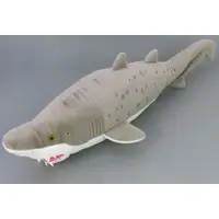 Plush - Shark