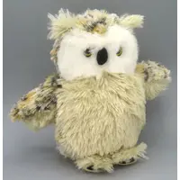 Plush - Harry Potter Series