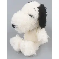 Plush - PEANUTS / Snoopy