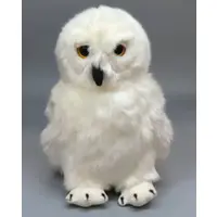 Plush - Harry Potter Series / Hedwig (Harry Potter)