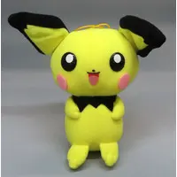 Plush - Pokémon / Suicune & Entei & Raikou & Pichu