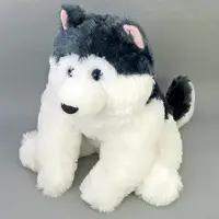Plush - Siberian Husky