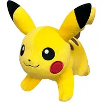 Plush - Pokémon / Pikachu