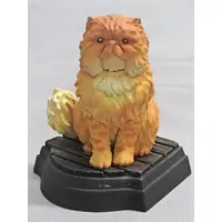 Trading Figure - Harry Potter Series / Crookshanks