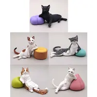 Trading Figure - My Position