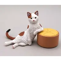 Trading Figure - My Position