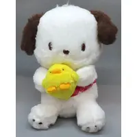 Plush - Sanrio / The Pi-chans & Pochacco