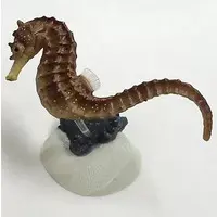 Trading Figure - Primary Color Saltwater Fish Encyclopedia