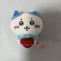 Plush - Chiikawa / Hachiware
