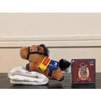 Plush - Thoroughbred collection