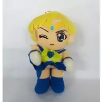 Plush - Sailor Moon