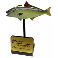 Trading Figure - Primary Color Saltwater Fish Encyclopedia