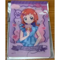 Character Card - Pretty Cure Series