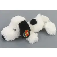 Plush - PEANUTS / Snoopy
