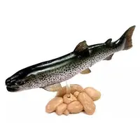 Trading Figure - Freshwater Fishes