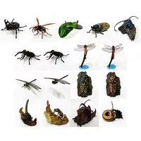 Trading Figure - Primary Color Japanese Insect Encyclopedia