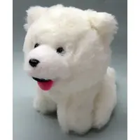 Plush - Dog