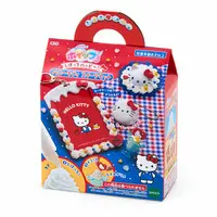 Card case - Sanrio / Hello Kitty