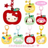 Key Chain - Mirror - Sanrio