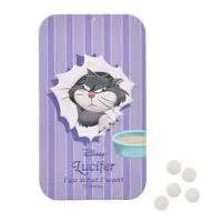 Accessory case - Disney / Lucifer (Cinderella)