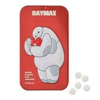 Accessory case - Big Hero 6 / Baymax
