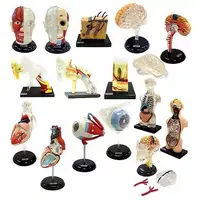 Mini Figure - Trading Figure - Children's Encyclopedia