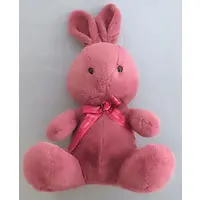 Plush - Happy Birthcolor