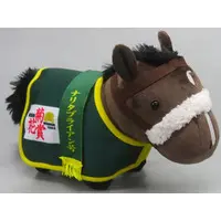 Plush - Thoroughbred collection
